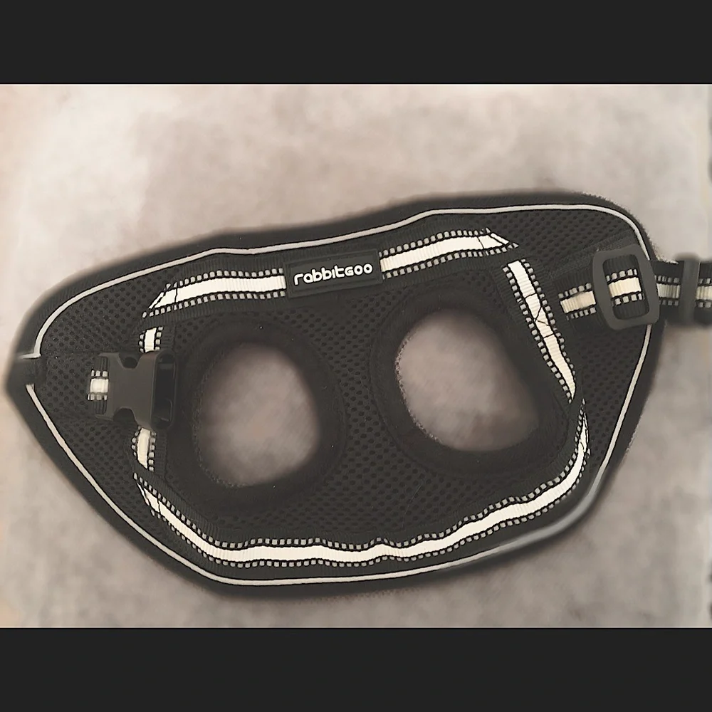 Cat Harness